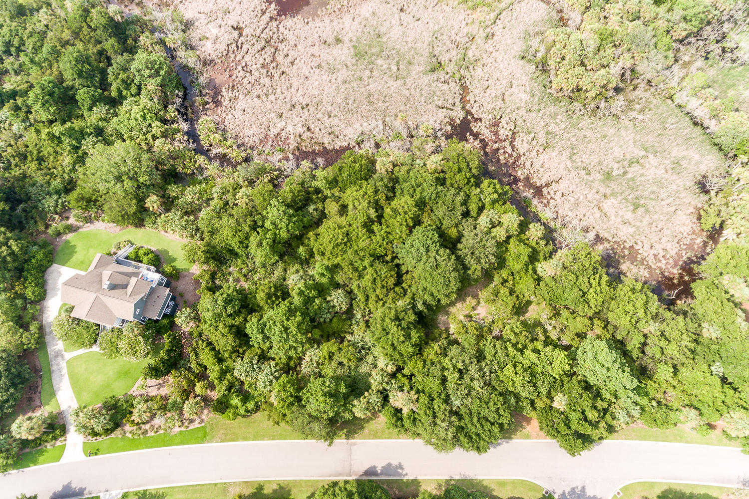 2612 Jenkins Point Road Seabrook Island, SC 29455 - Photo 6 of 30 2612 Jenkins Point Rd Seabrook-006-2-DJI