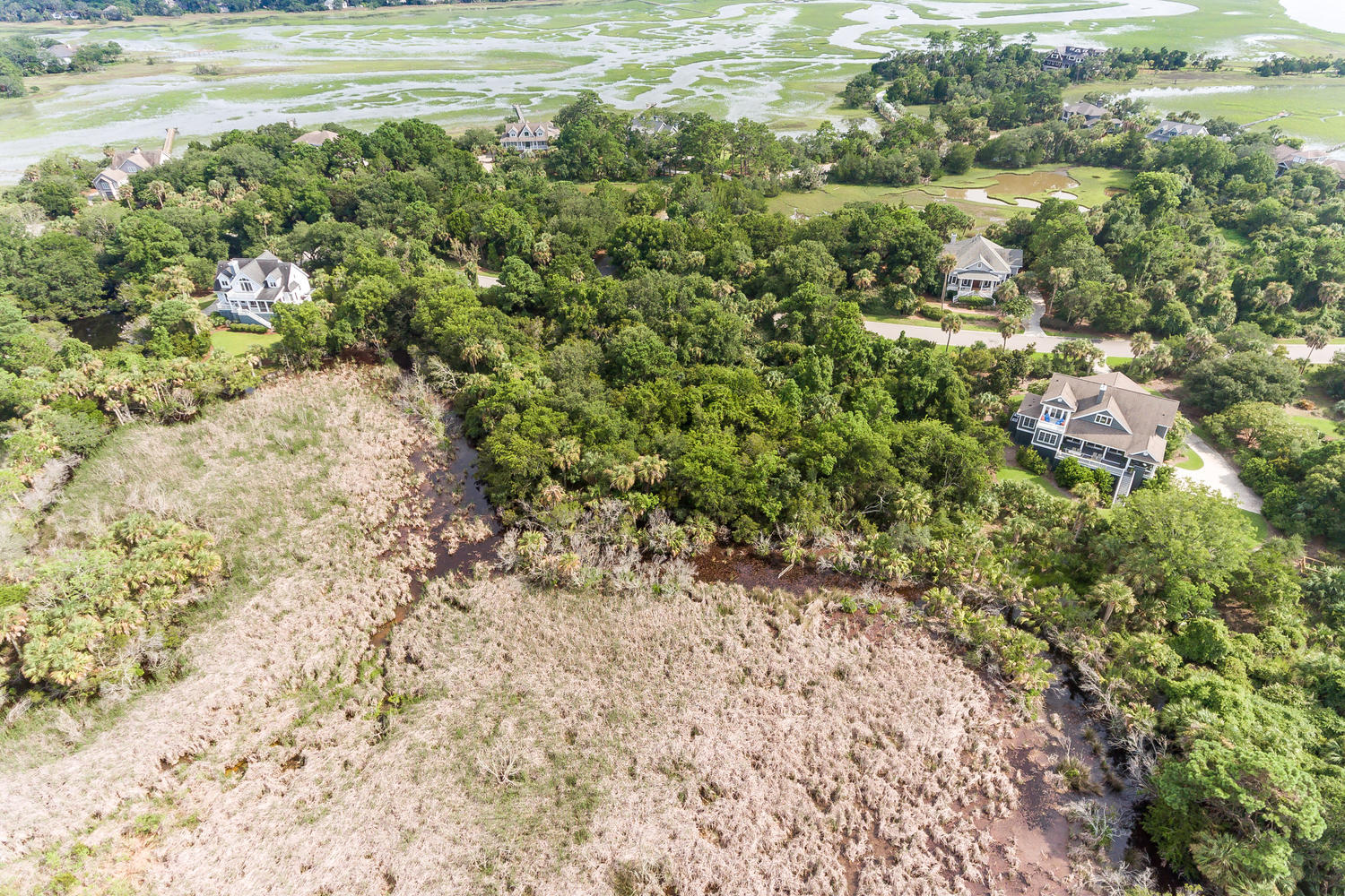 2612 Jenkins Point Road Seabrook Island, SC 29455 - Photo 8 of 30 2612 Jenkins Point Rd Seabrook-008-3-DJI