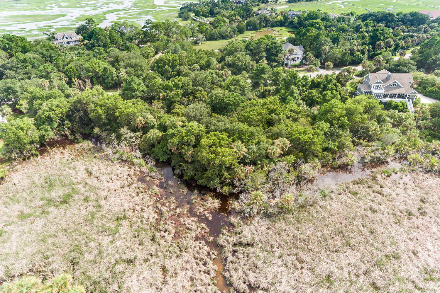 2612 Jenkins Point Road Seabrook Island, SC 29455 - Photo 9 of 30 2612 Jenkins Point Rd Seabrook-009-1-DJI
