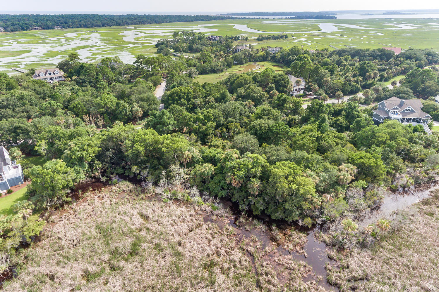 2612 Jenkins Point Road Seabrook Island, SC 29455 - Photo 10 of 30 2612 Jenkins Point Rd Seabrook-010-6-DJI