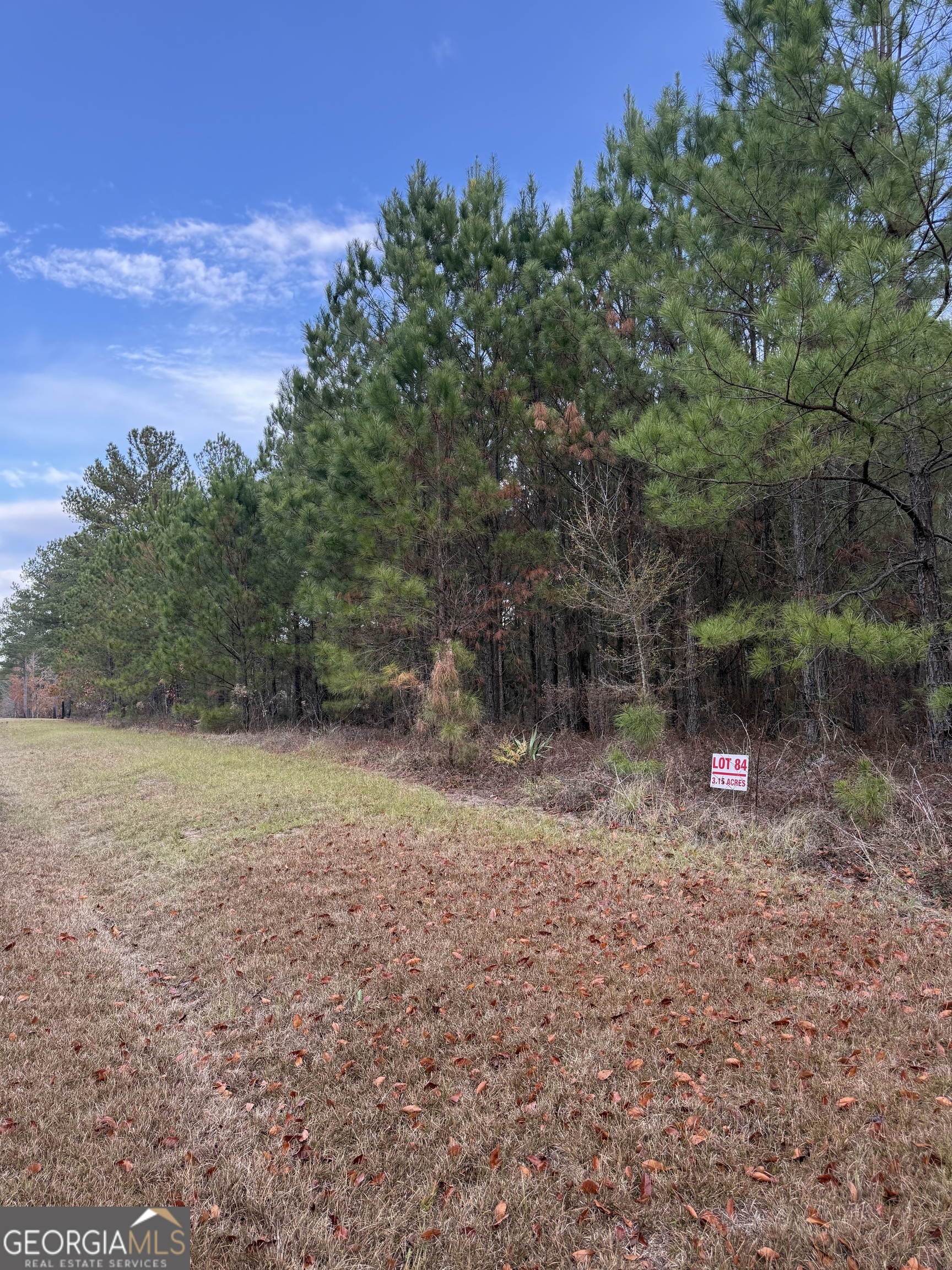 0 Muskogee Trl Road, Unit LOT 84 Dublin, GA 31021 - Photo 2 of 3 a view of a field with trees in the background