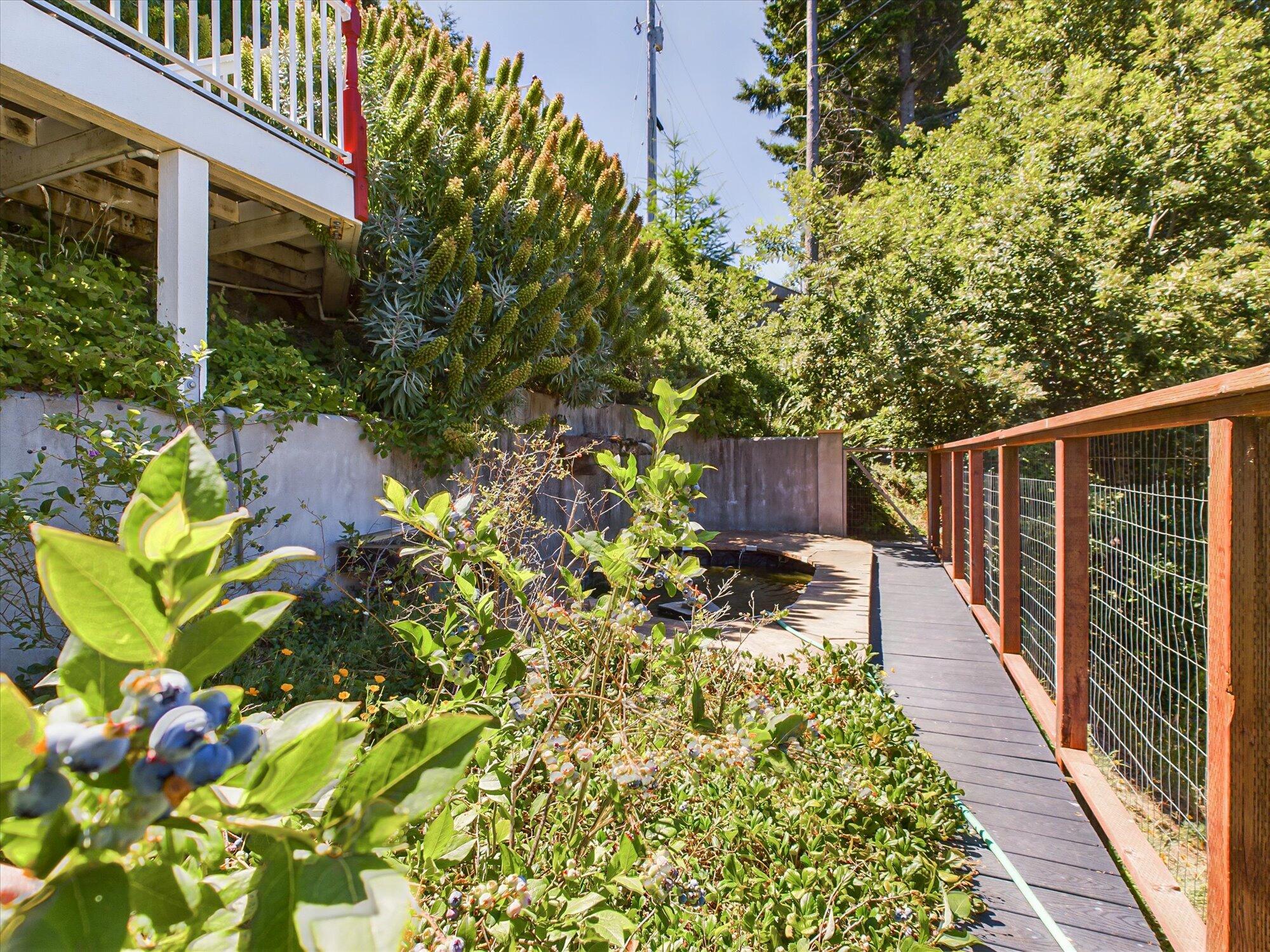 299 Cook Road Shelter Cove, CA 95589 - Photo 59 of 73 59-299 Cook Road Shelter Cove-156