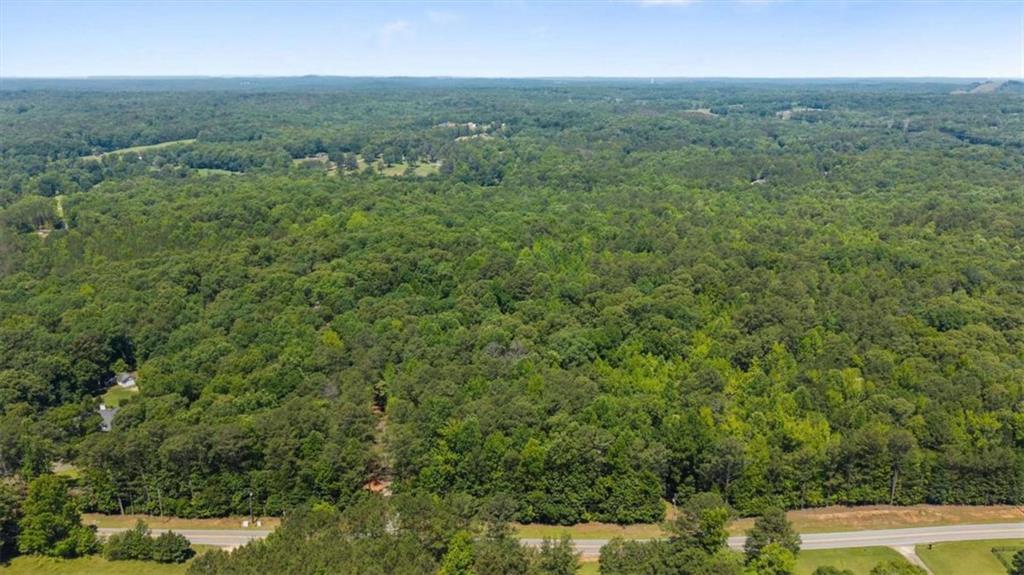 7448 Berea Road Winston, GA 30187 - Photo 81 of 85
