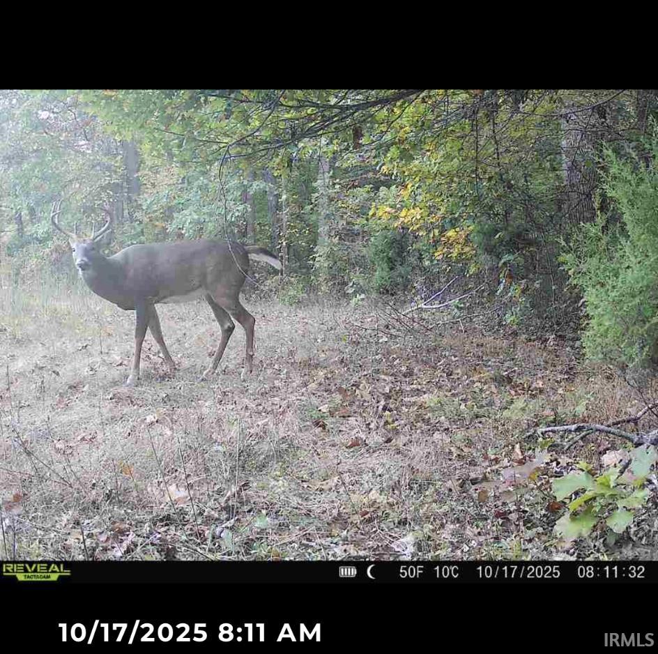 1 Beech Tree Road Nineveh, IN 46164 - Photo 11 of 15