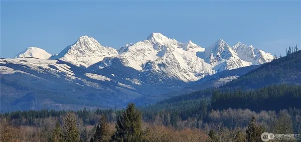 a vase of flowers sitting on a table
