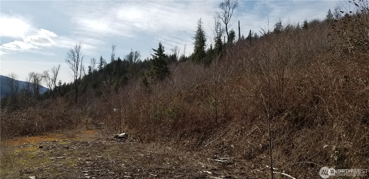 0 Valley Highway Acme, WA 98220 - Photo 11 of 12