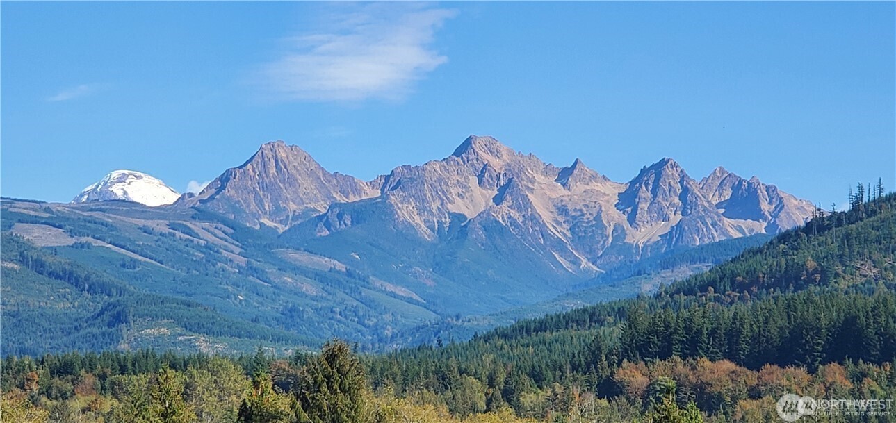 0 Valley Highway Acme, WA 98220 - Photo 12 of 12 a view of a backyard