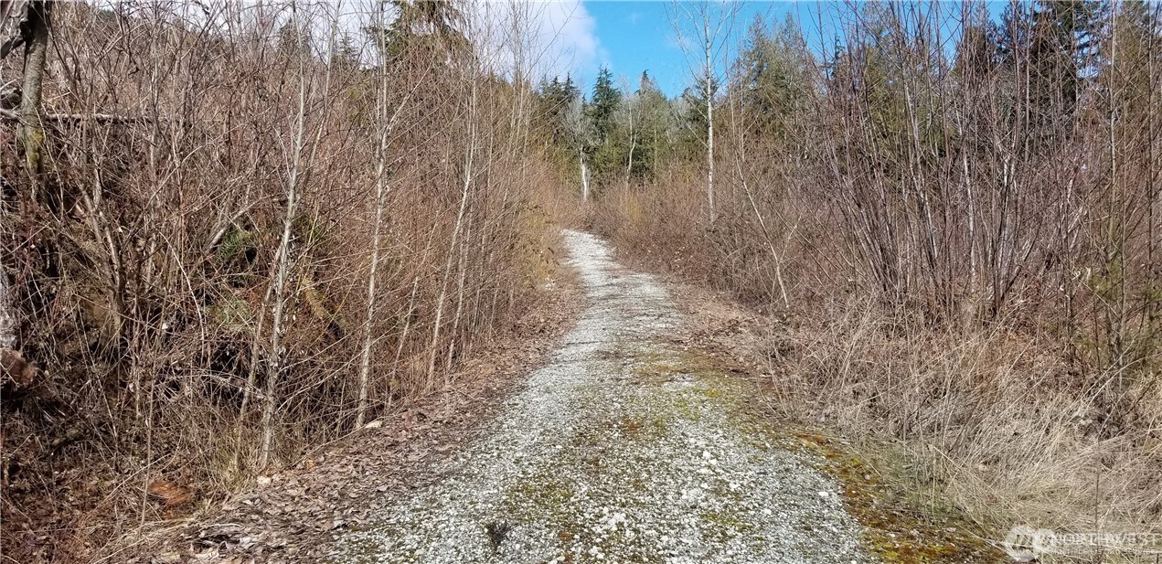 0 Valley Highway Acme, WA 98220 - Photo 2 of 12 a view of a yard with trees in the background