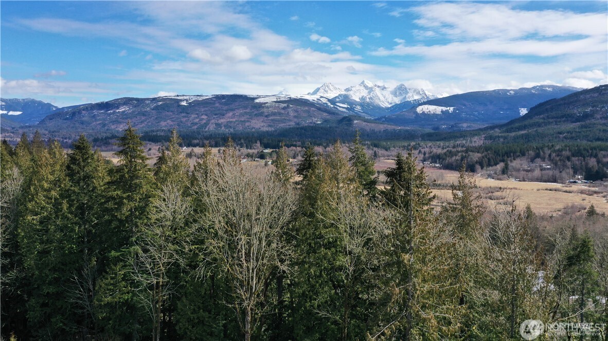 0 Valley Highway Acme, WA 98220 - Photo 4 of 12 a view of a and mountain