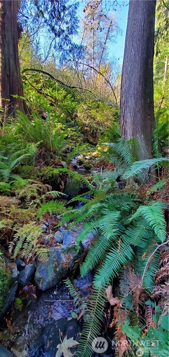 0 Valley Highway Acme, WA 98220 - Photo 5 of 12 a view of a garden with a tree