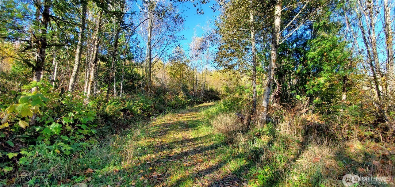 0 Valley Highway Acme, WA 98220 - Photo 8 of 12