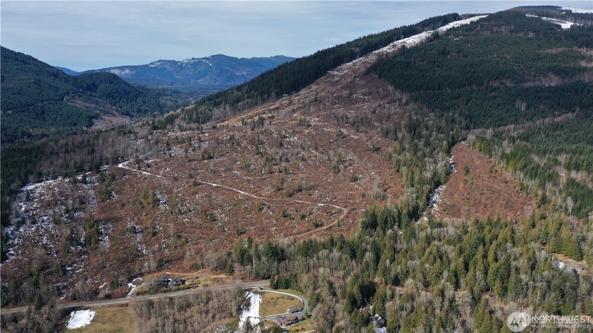 0 Valley Highway Acme, WA 98220 - Photo 10 of 12 a view of a mountain in the distance