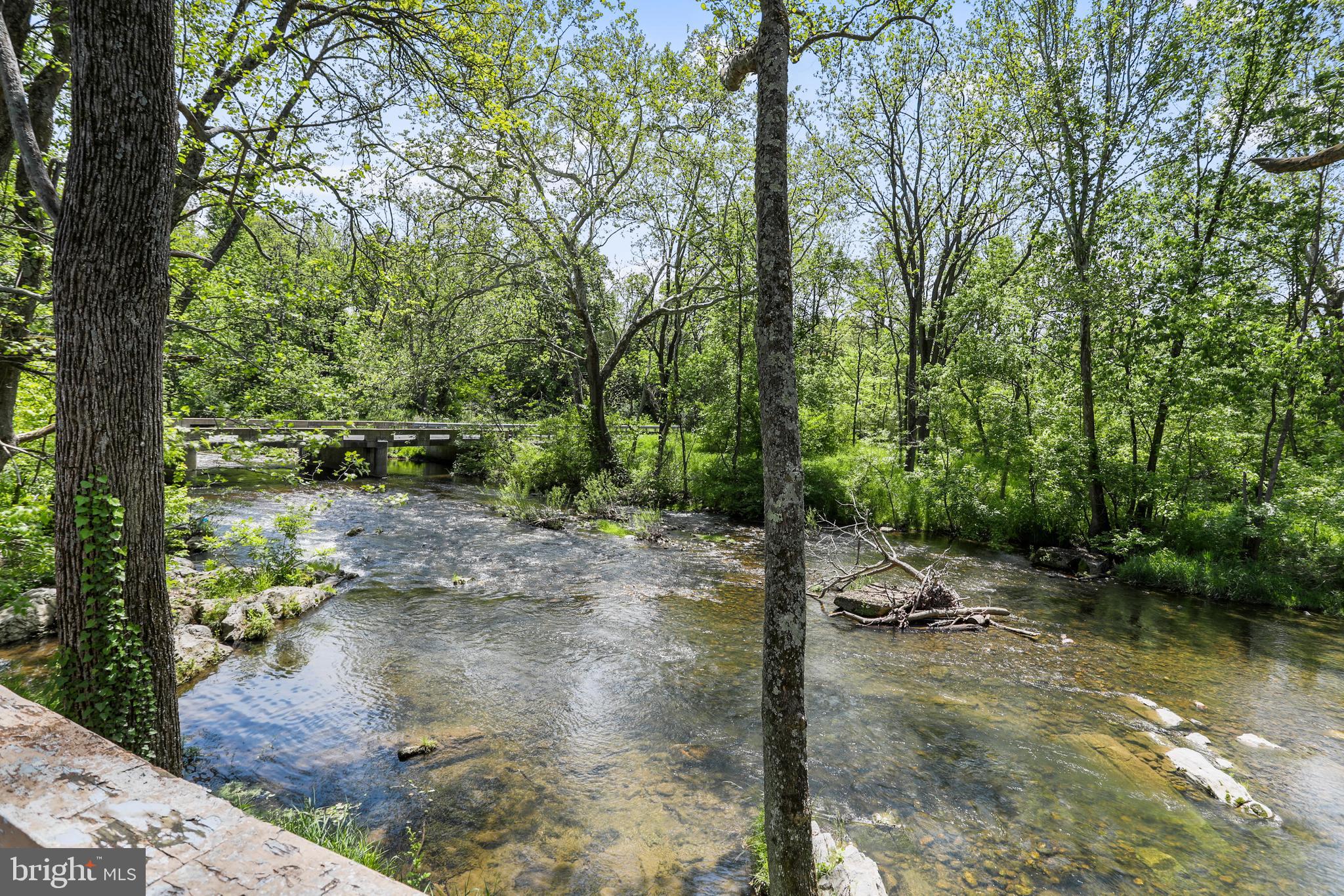 37 Corner Road Edinburg, VA 22824 - Photo 8 of 42 Views of the creek