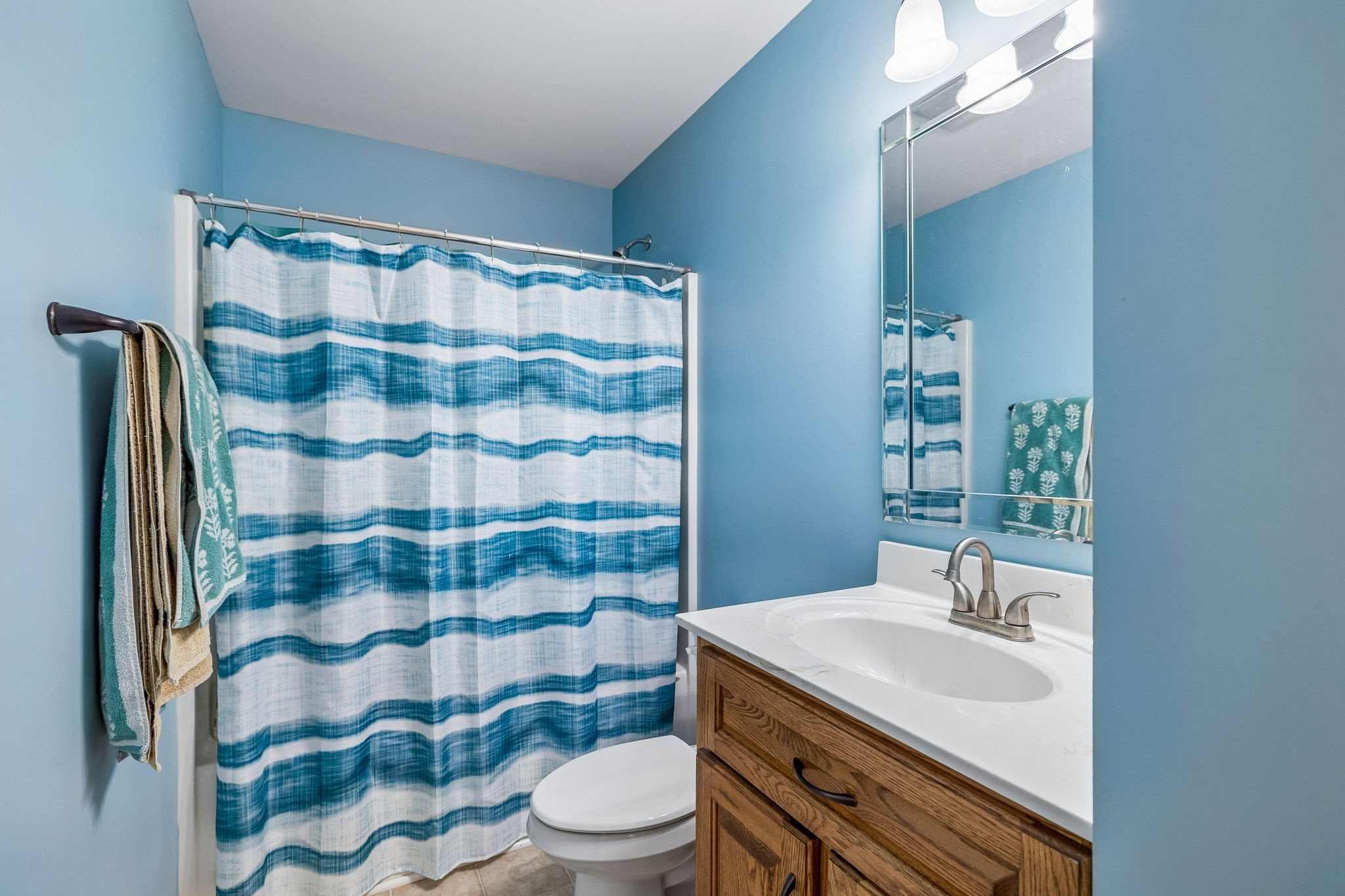 1548 Heller Ridge Spring Hill, TN 37174 - Photo 34 of 73 a bathroom with a sink a toilet a mirror and shower curtain