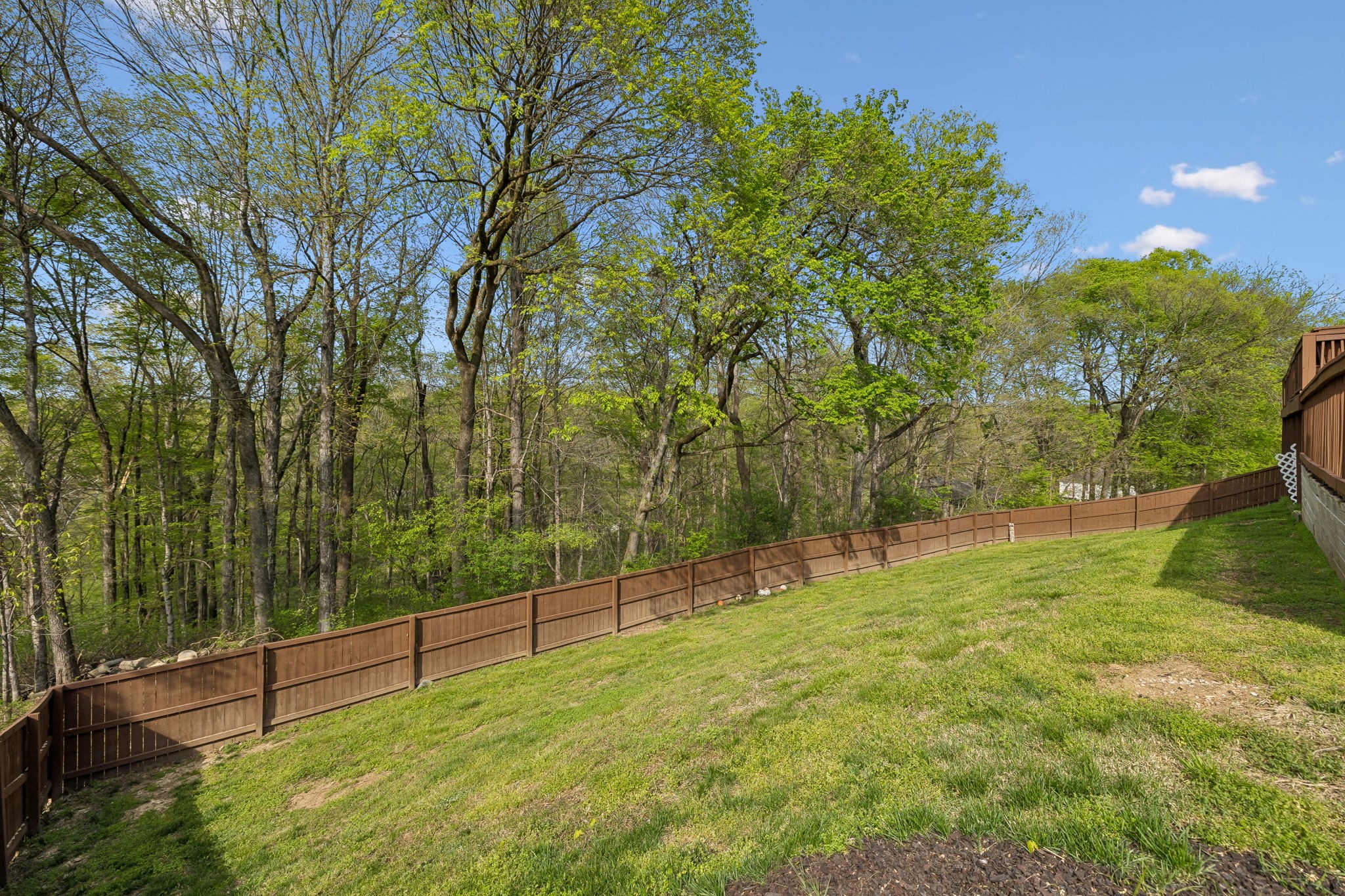 1548 Heller Ridge Spring Hill, TN 37174 - Photo 53 of 73
