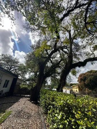 $3,100 | 9999 Northwest 23rd Avenue, Unit 9999, Miami, FL 33147