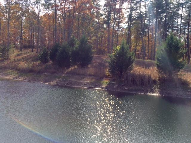 171 Clear Branch Road Dunlap, TN 37327 - Photo 36 of 42 Autumn at the Kittles (2)