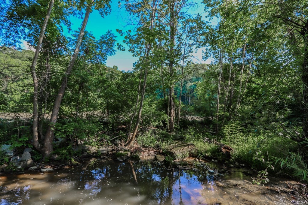 724 Sims Road Sevierville, TN 37876 - Photo 19 of 34 Gallery Image 19