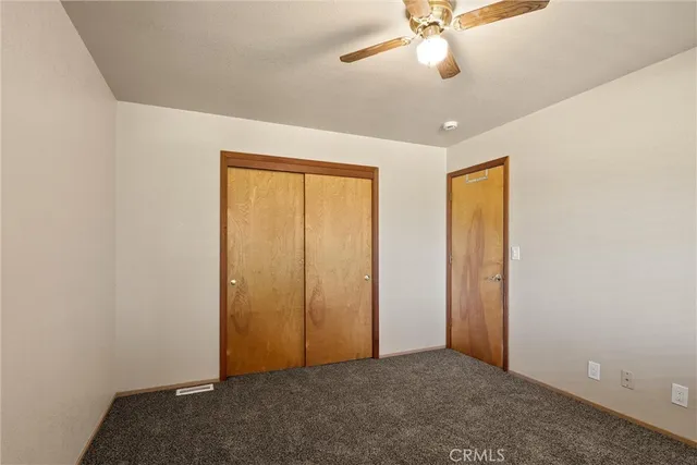 a view of a yard with plants and large trees