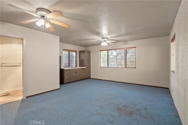 a view of a yard with trees