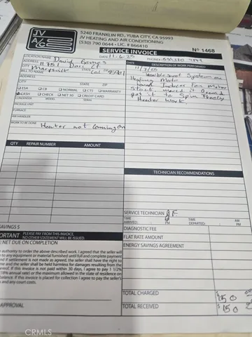 a view of a backyard with plants and a tree