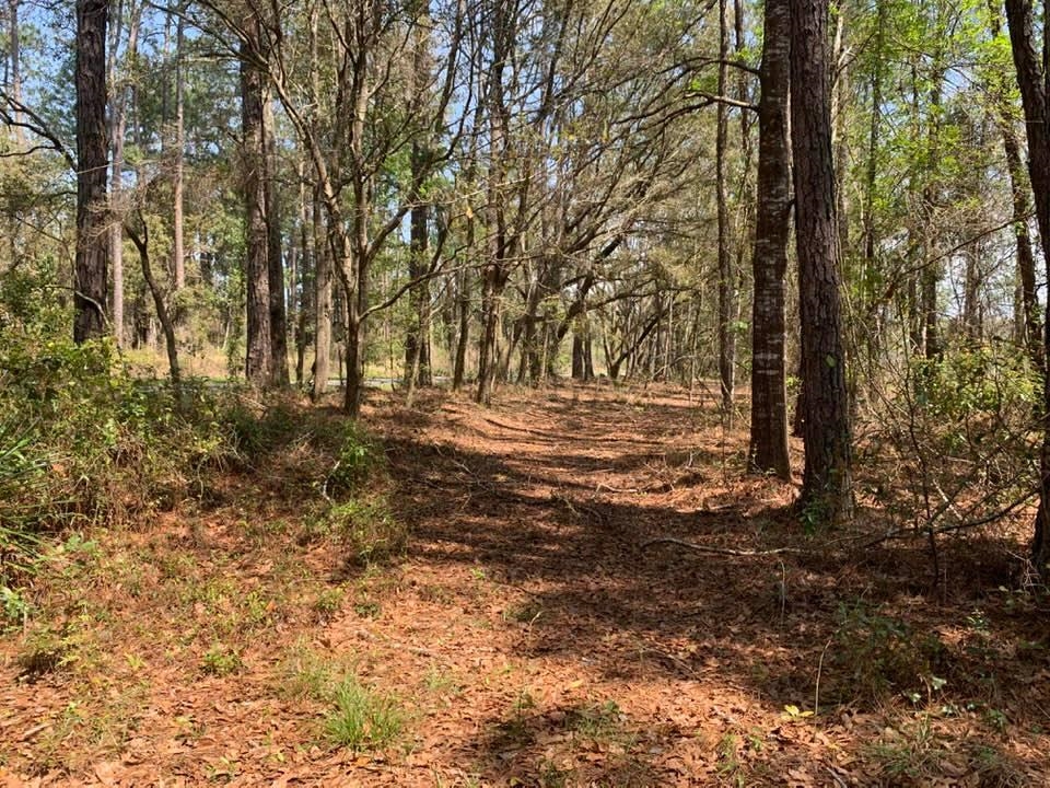 26264 Feely Road Elberta, AL 36530 - Photo 11 of 30