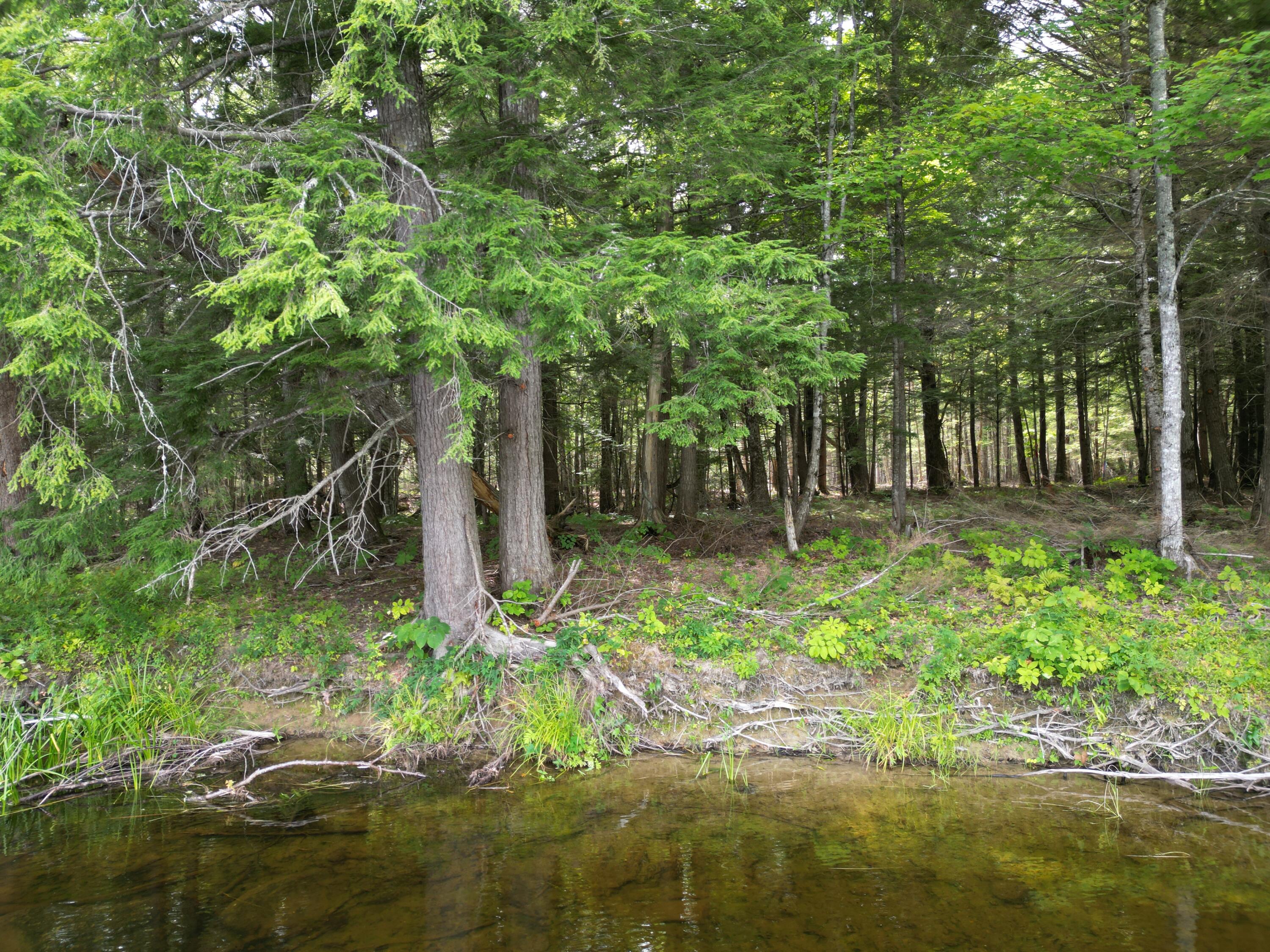 Lot 4 Off Mattamiscontis Road Howland, ME 04448 - Photo 2 of 20 DJI_0077
