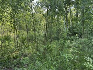 1745 West Dean Road River Hills, WI 53217 - Photo 5 of 6 Dean 5