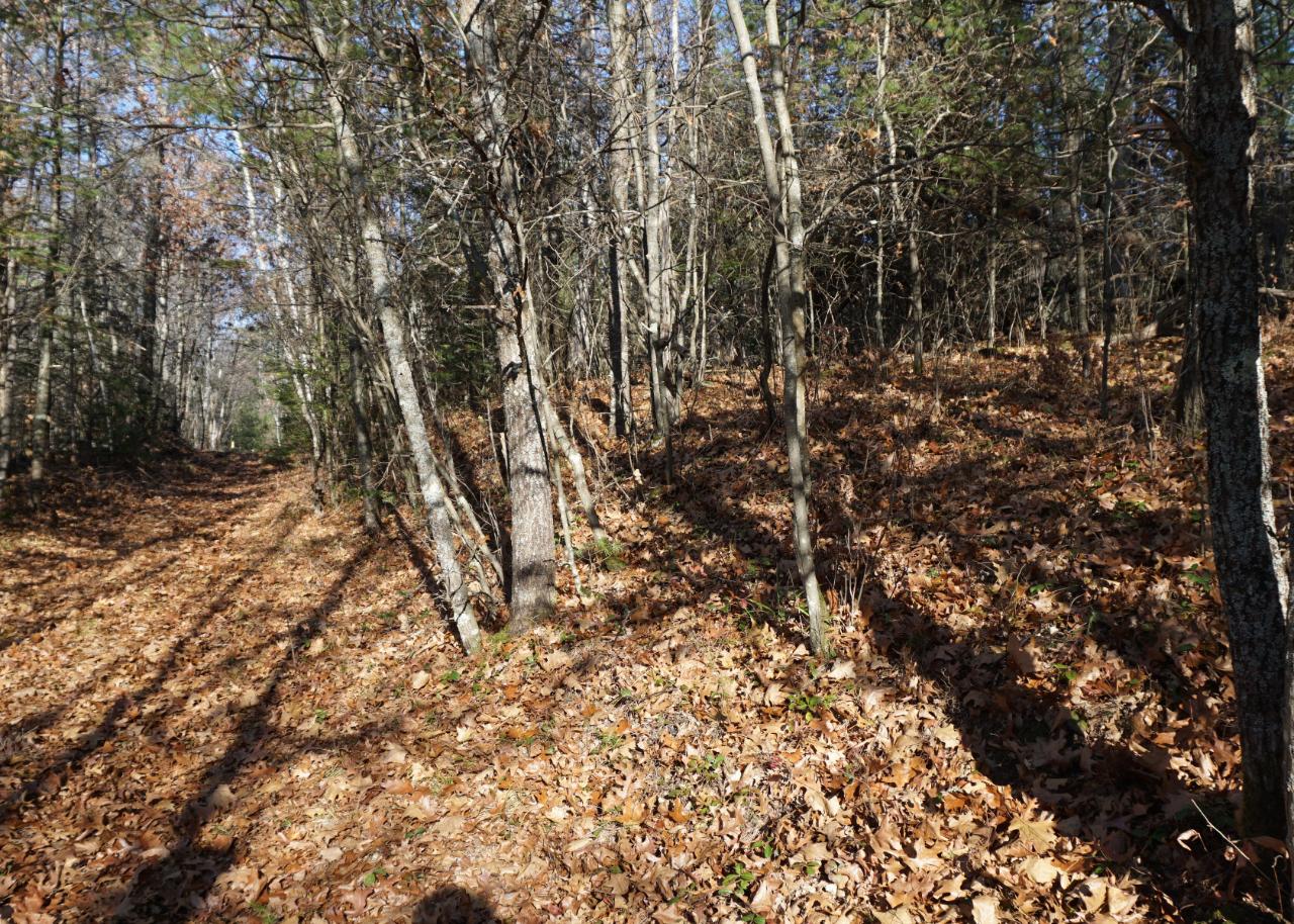 Lot 3 Sheep Ranch Road Rhinelander, WI 54501 - Photo 7 of 11 Gallery Image 7