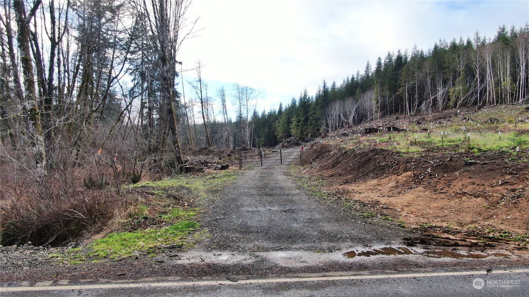317 Butte Creek Road Raymond, WA 98577 - Photo 3 of 15 Gallery Image 3
