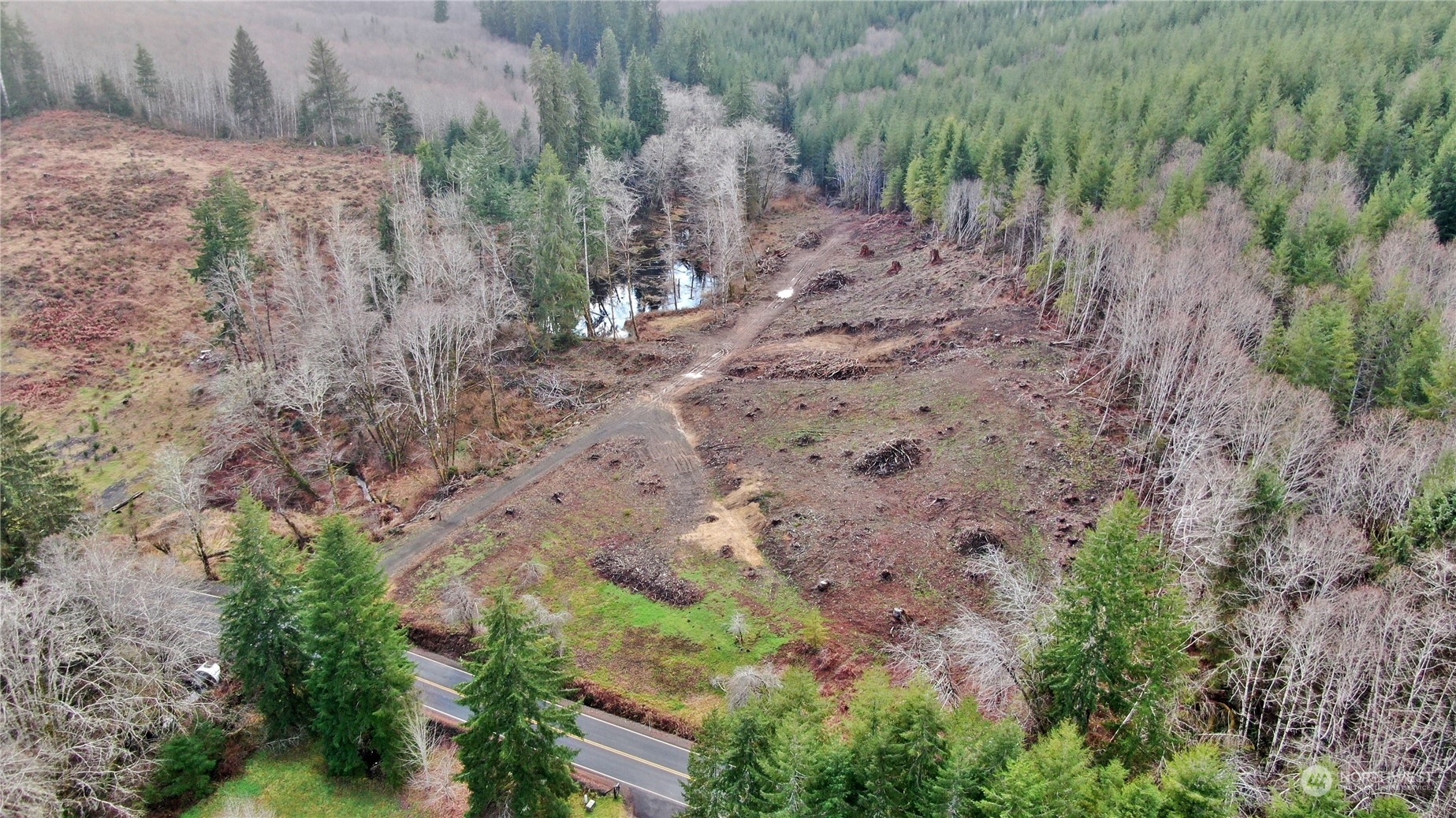 317 Butte Creek Road Raymond, WA 98577 - Photo 8 of 15 Gallery Image 8