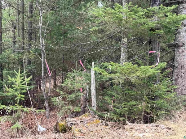 $99,500 | Xxx B Locust Road, Duluth, MN 55803