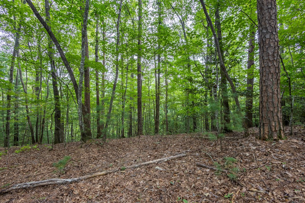 Lot 26 Persimmon Hts Road Murphy, NC 28906 - Photo 5 of 9