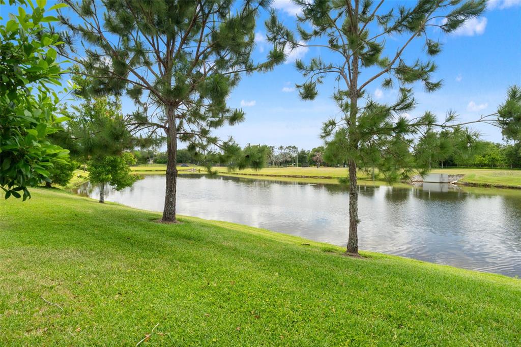 7278 Pool Compass Loop Wesley Chapel, FL 33545 - Photo 4 of 52