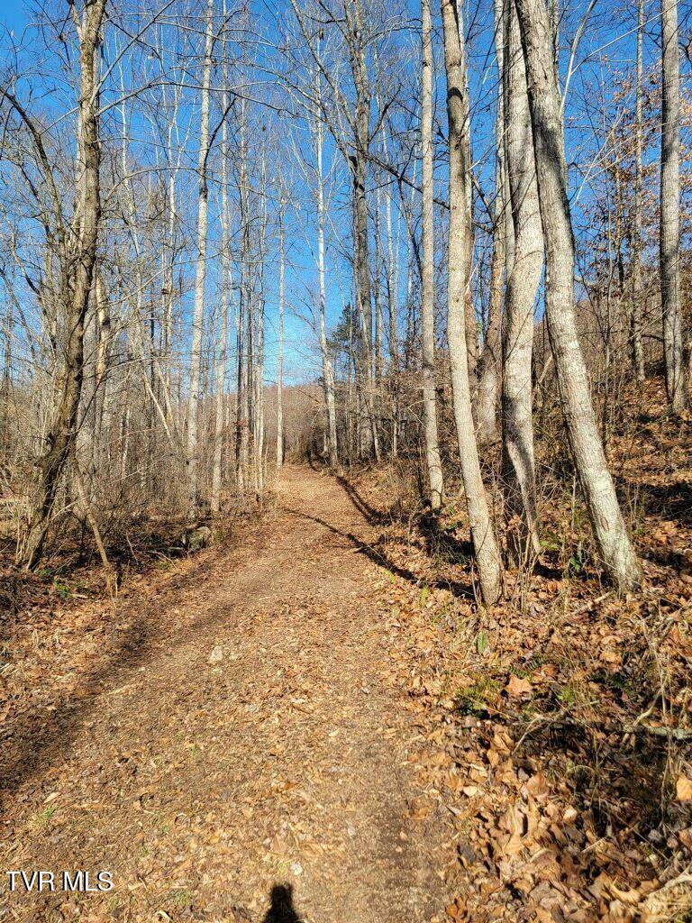 Tbd Hurricane Road Jonesville, VA 24263 - Photo 7 of 11 Wallens creek trails