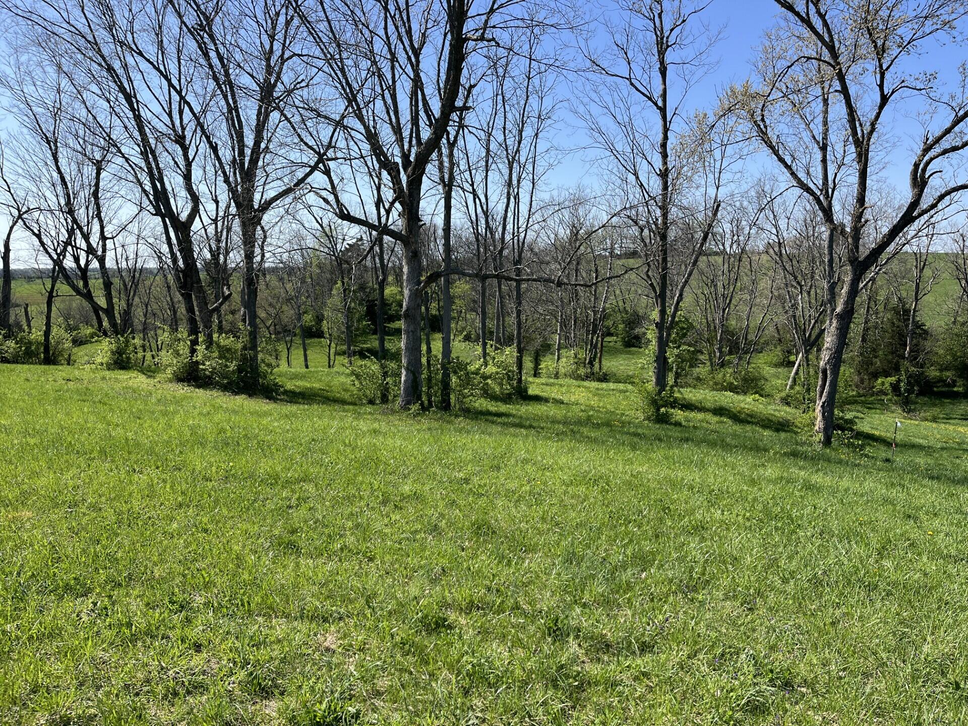 2 Moran Mill Road Richmond, KY 40475 - Photo 3 of 8 Image 2