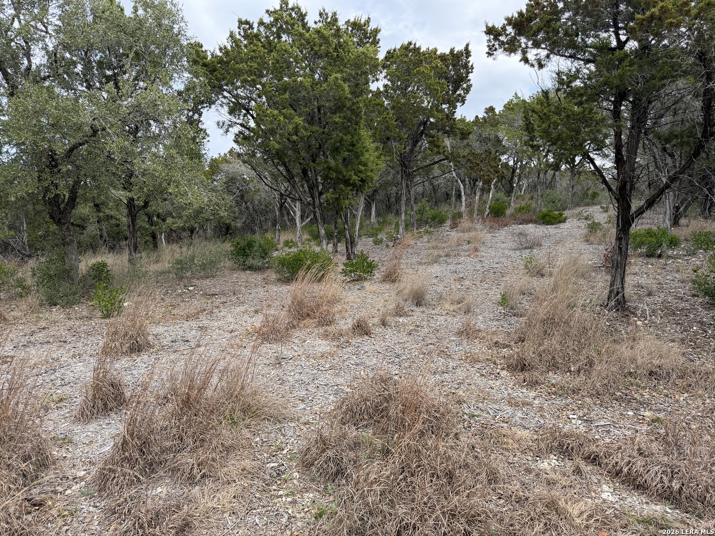Lot 45 Pr 2775 Mico, TX 78056 - Photo 3 of 11