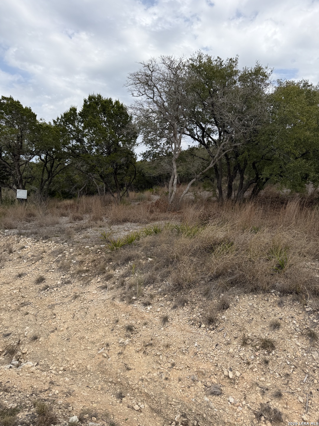 Lot 45 Pr 2775 Mico, TX 78056 - Photo 5 of 11