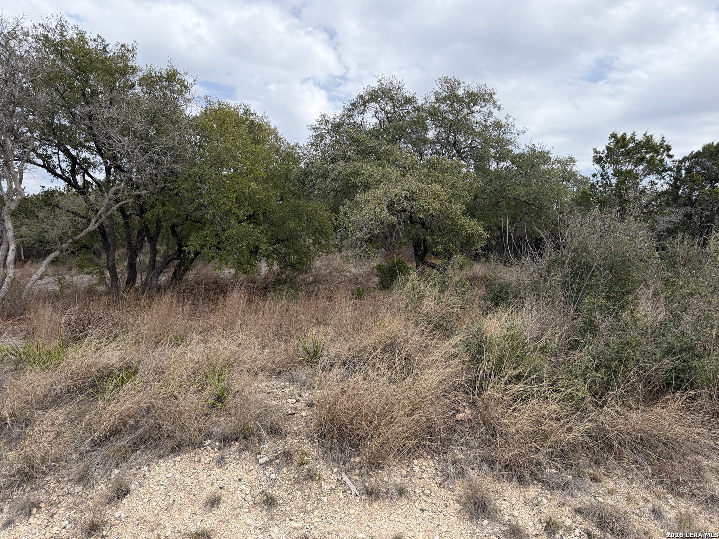 Lot 45 Pr 2775 Mico, TX 78056 - Photo 6 of 11