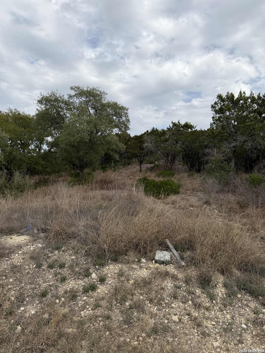 Lot 45 Pr 2775 Mico, TX 78056 - Photo 7 of 11
