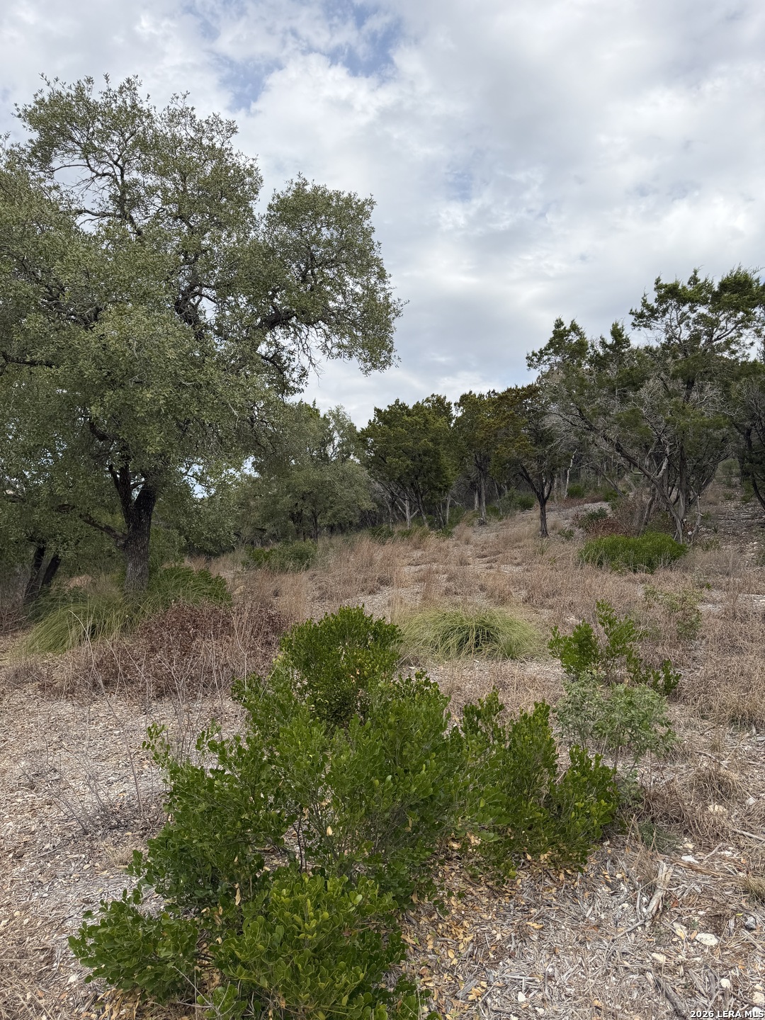 Lot 45 Pr 2775 Mico, TX 78056 - Photo 8 of 11