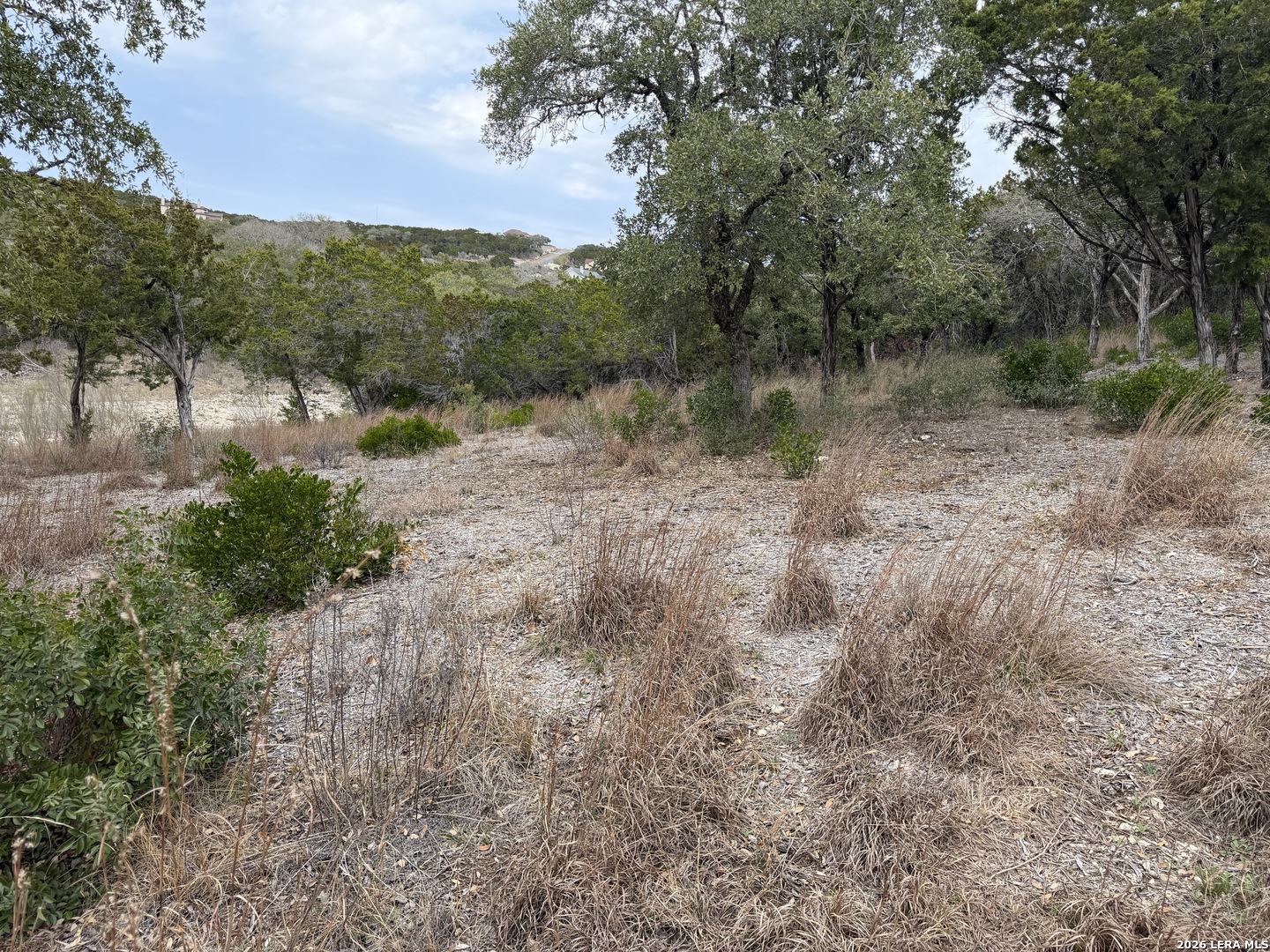 Lot 45 Pr 2775 Mico, TX 78056 - Photo 10 of 11