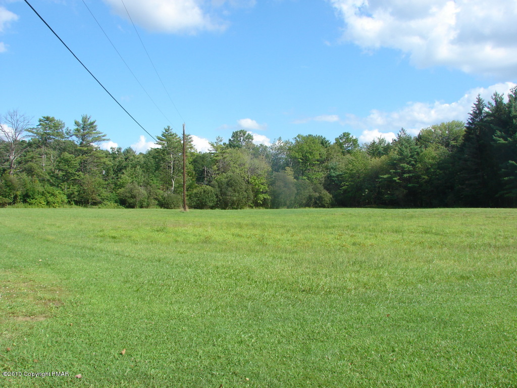 1497 Clearfield Road Nazareth, PA 18064 - Photo 8 of 13 a view of a field of grass and trees