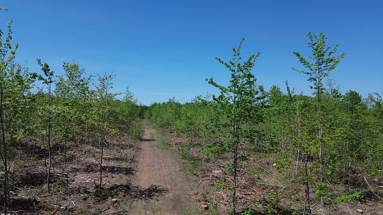 343 X 5th Avenue Shell Lake, WI 54871 - Photo 11 of 16