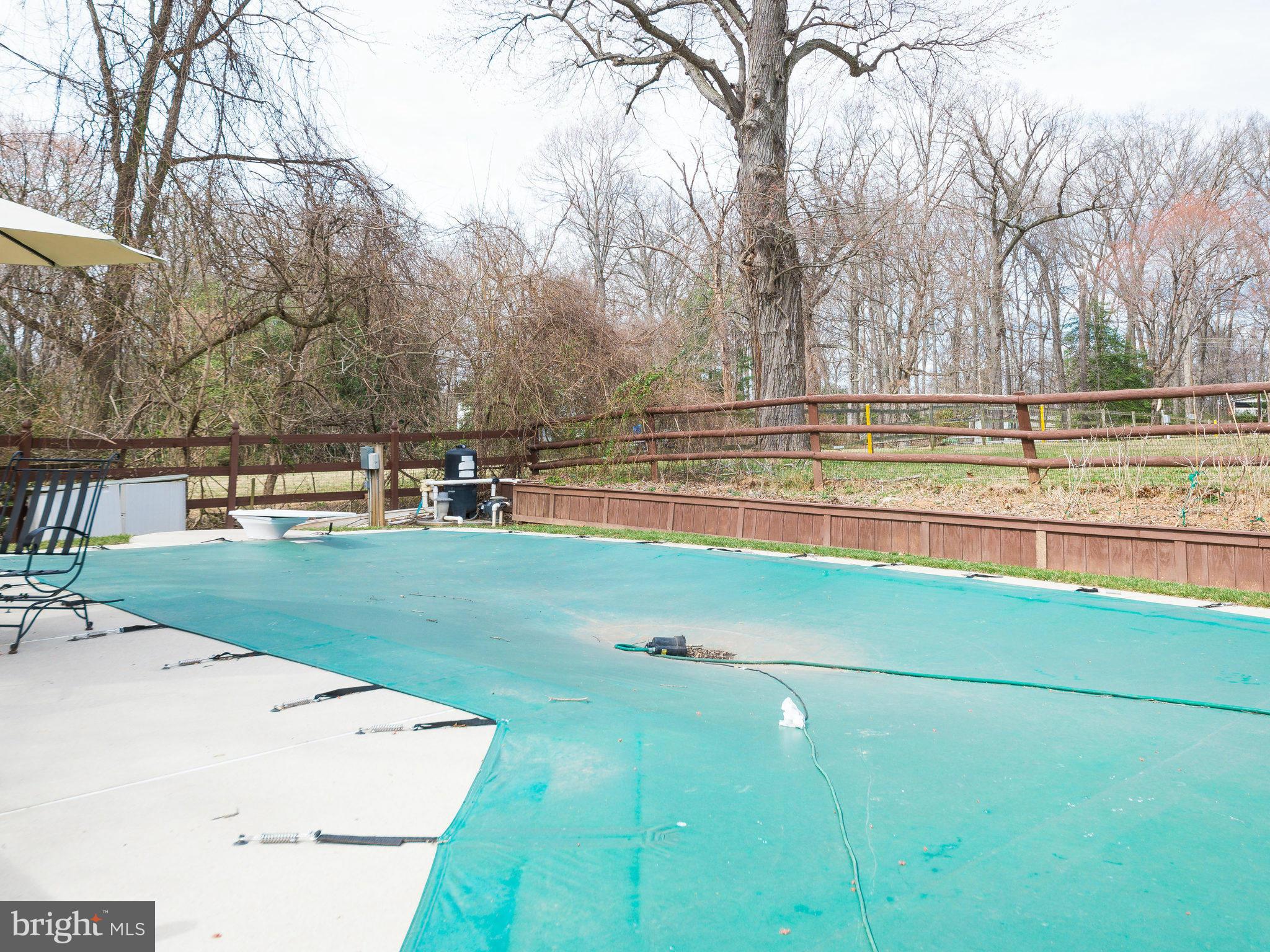 1118 Springvale Road Great Falls, VA 22066 - Photo 30 of 30 Pool