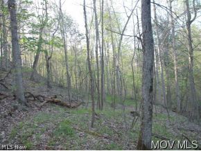 Lot# 3 California House Road Reader, WV 26167 - Photo 8 of 9 Gallery Image 8