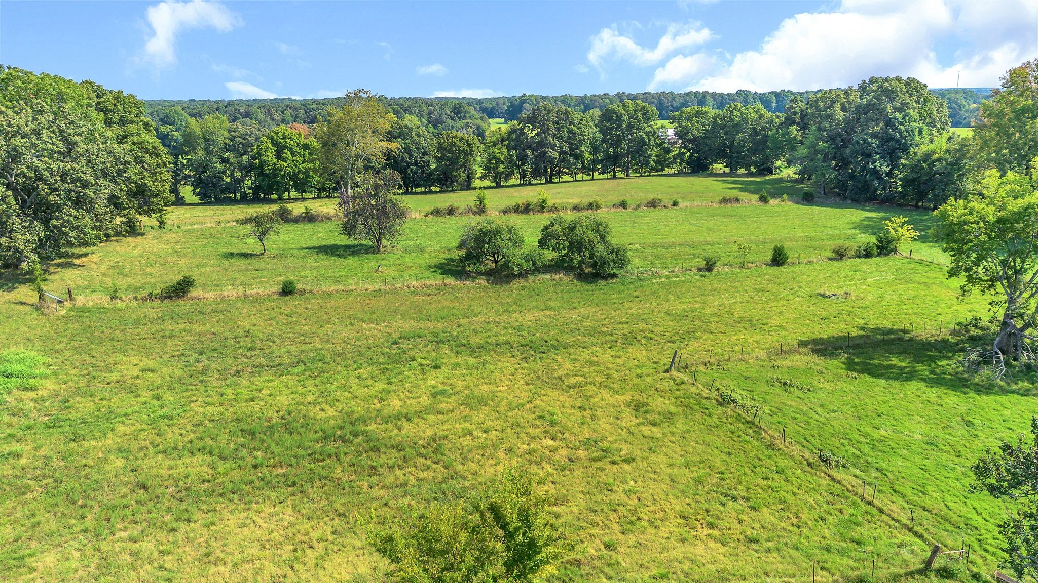 1608 Eno Road Dickson, TN 37055 - Photo 36 of 51