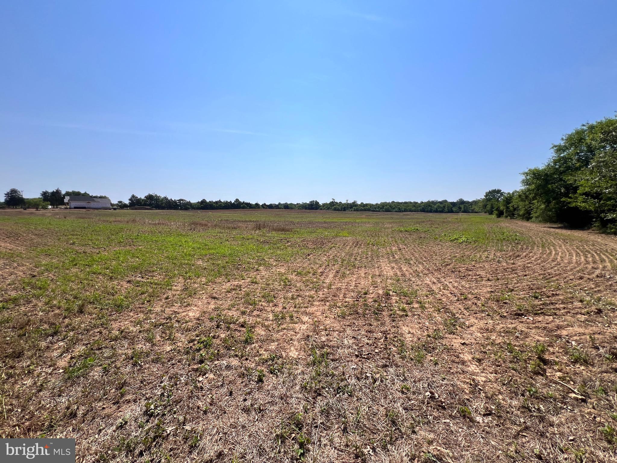 5451 Catlett Road, Unit LOT 1A Midland, VA 22728 - Photo 11 of 14 Field