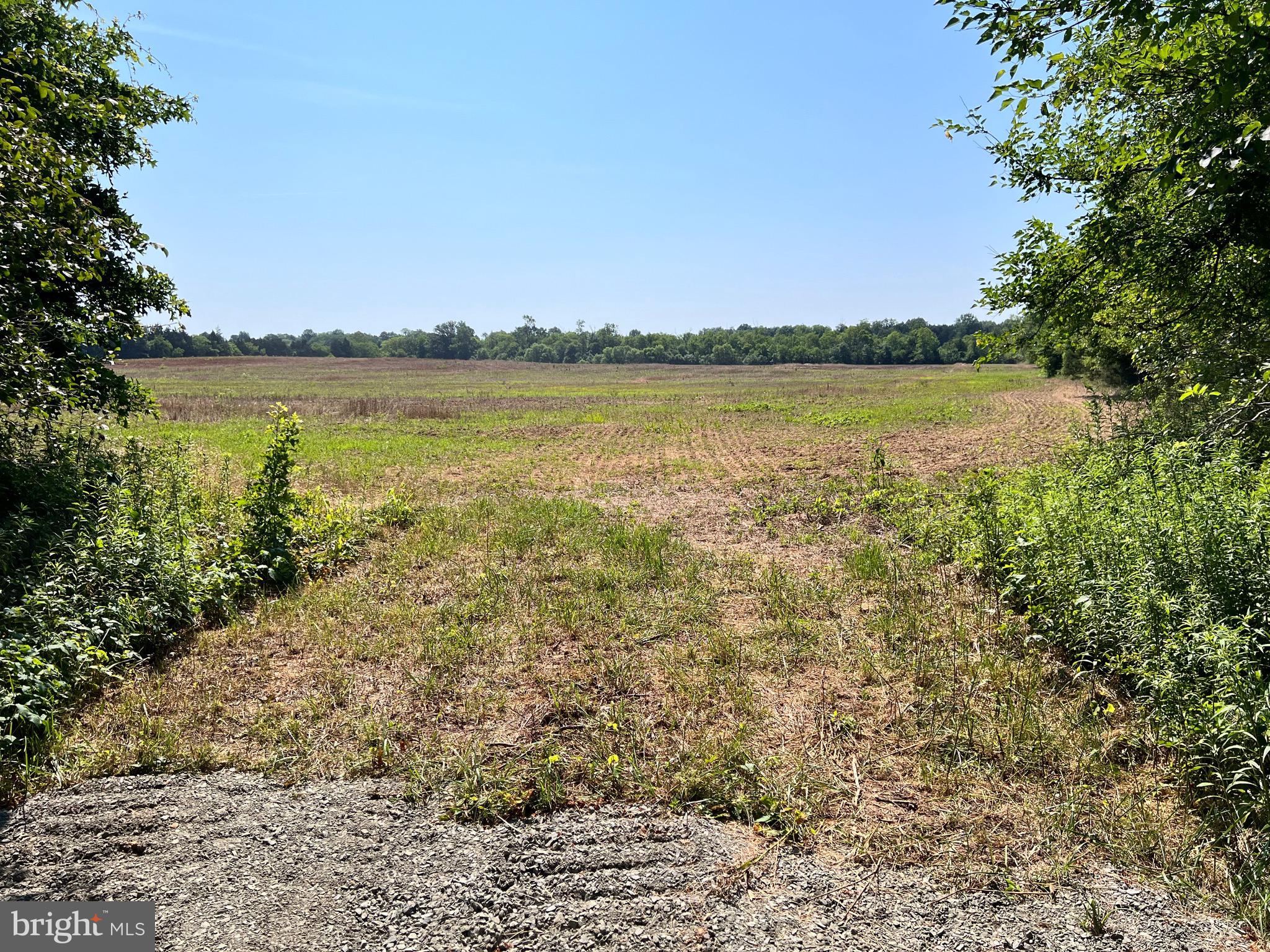 5451 Catlett Road, Unit LOT 1A Midland, VA 22728 - Photo 8 of 14 Entrance into the field