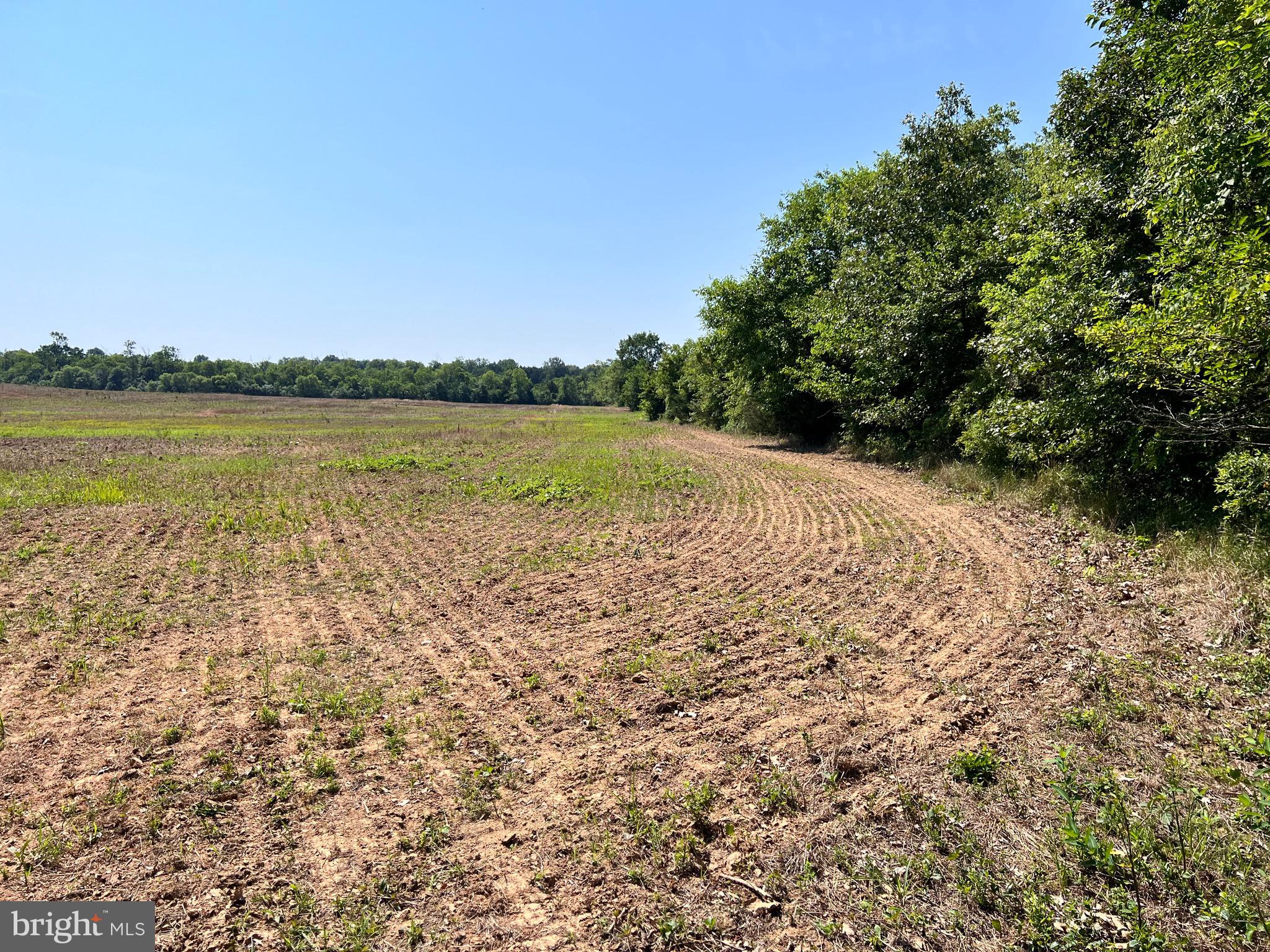 5451 Catlett Road, Unit LOT 1A Midland, VA 22728 - Photo 9 of 14 Field